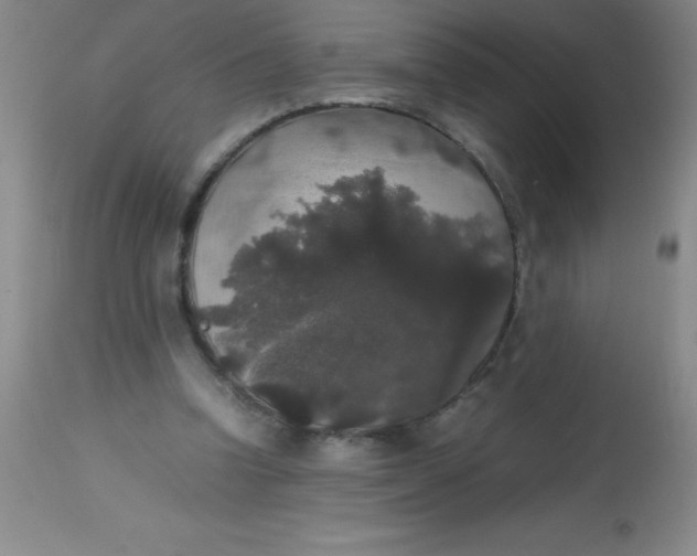 X0000113850346200910151217