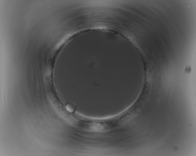 X0000113850347200910151217