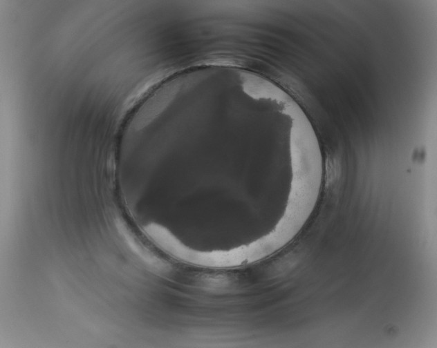 X0000113850349200910151217