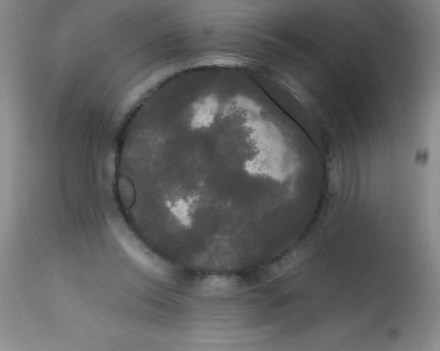 X0000113850350200910151217