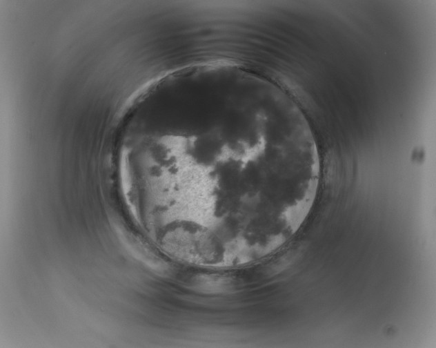 X0000113850351200910151217