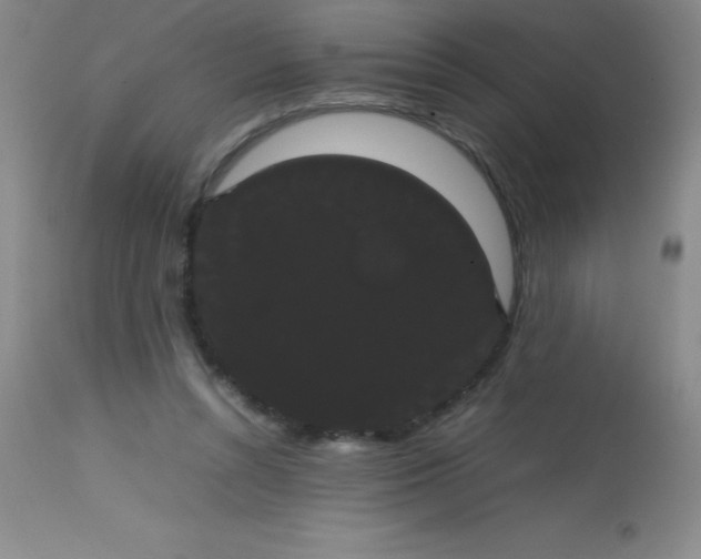 X0000113850352200910151217