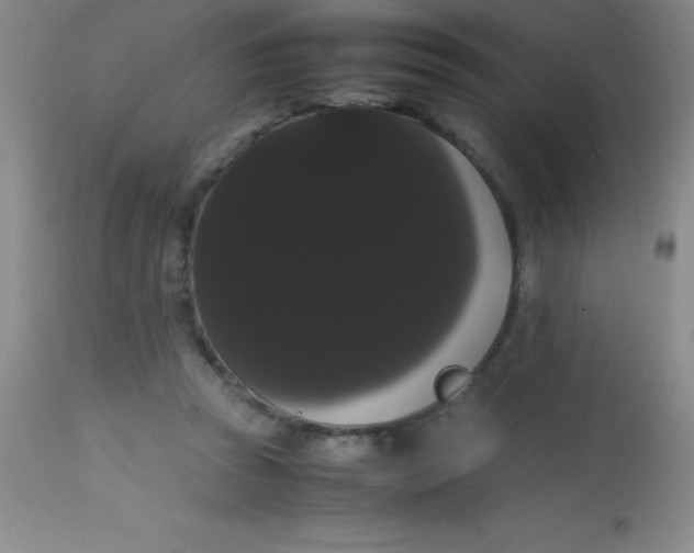 X0000113850353200910151217