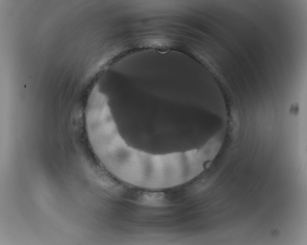 X0000113850355200910151218