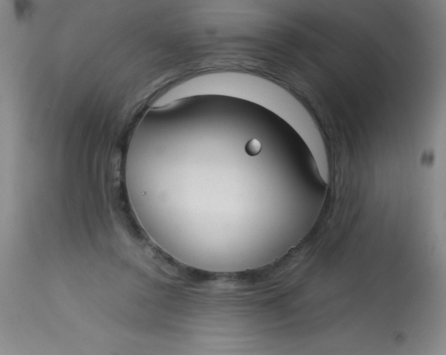 X0000113850356200910151218