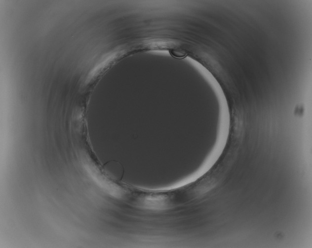 X0000113850357200910151218