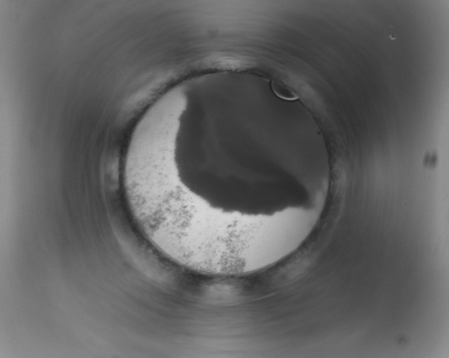 X0000113850358200910151218