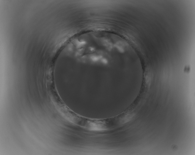 X0000113850359200910151218