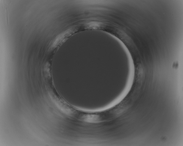 X0000113850361200910151218