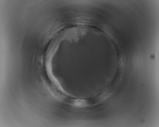 X0000113850363200910151218