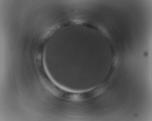 X0000113850365200910151218