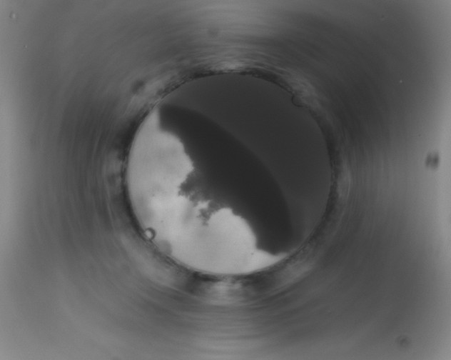 X0000113850366200910151218