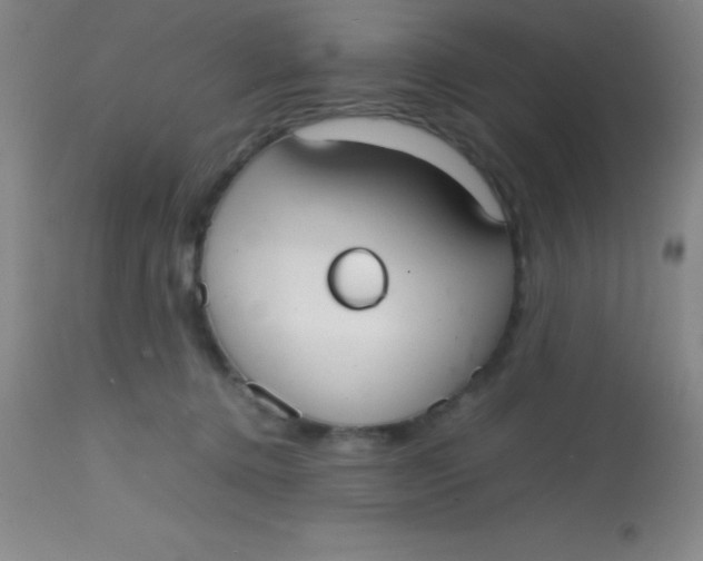 X0000113850368200910151218