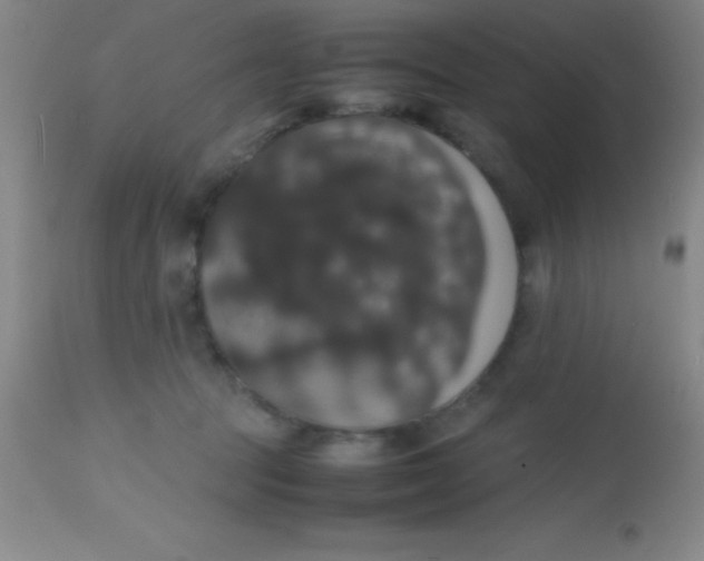 X0000113850369200910151218