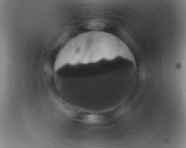 X0000113850371200910151218