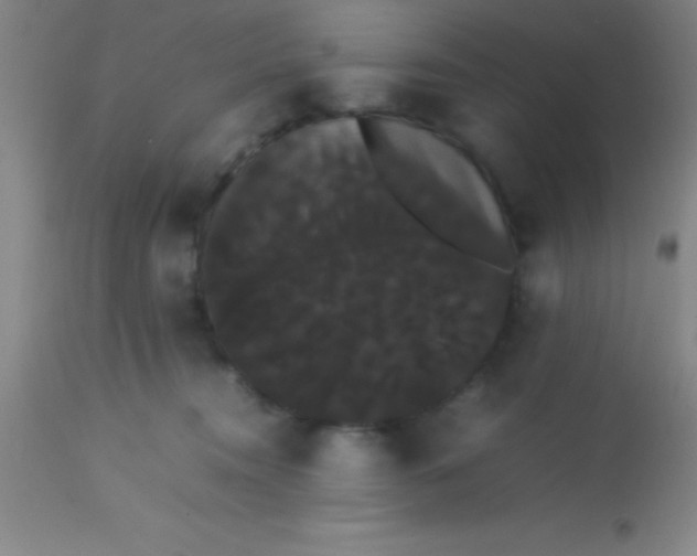 X0000113850372200910151218