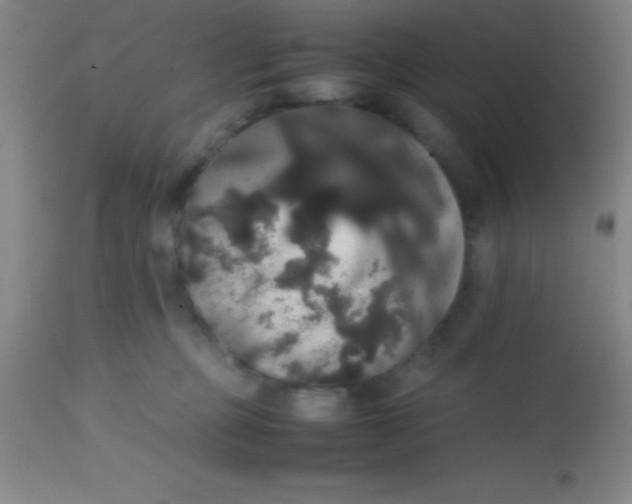 X0000113850373200910151218