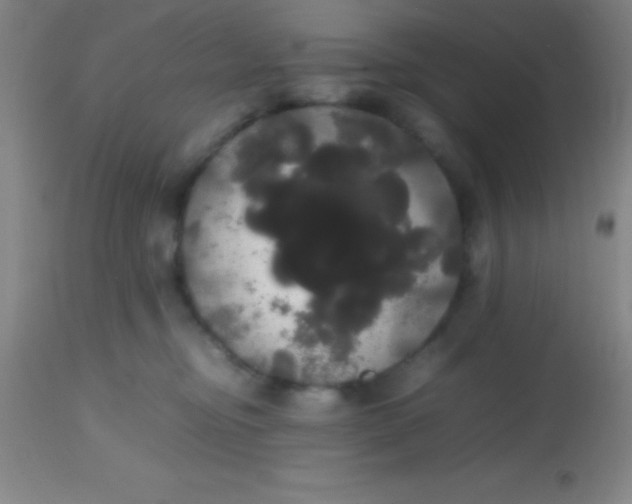 X0000113850374200910151218