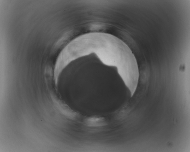 X0000113850375200910151218