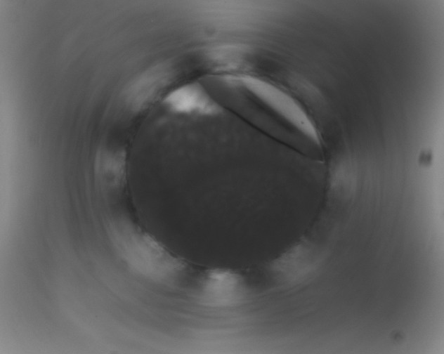 X0000113850376200910151218