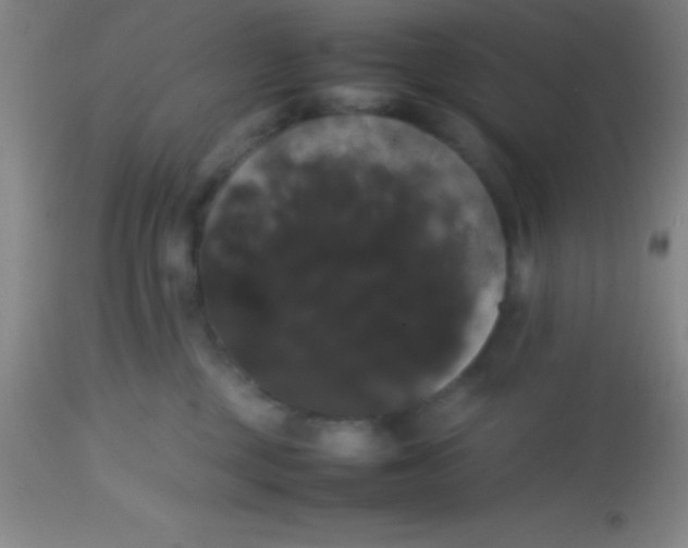 X0000113850377200910151218