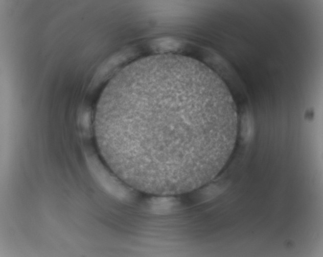 X0000113850378200910151218