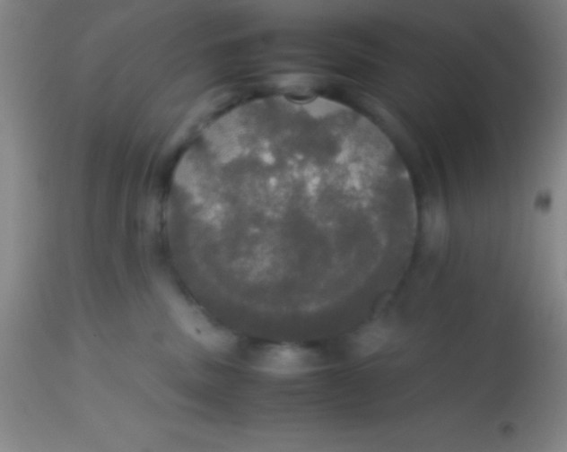 X0000113850379200910151218