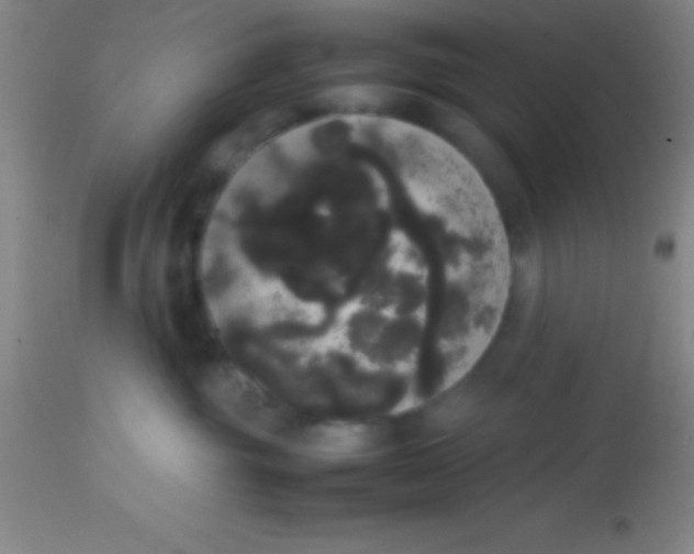 X0000113850381200910151218