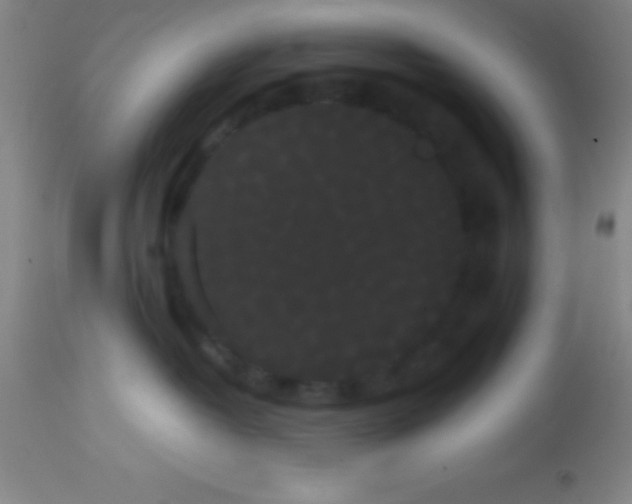 X0000113850382200910151218