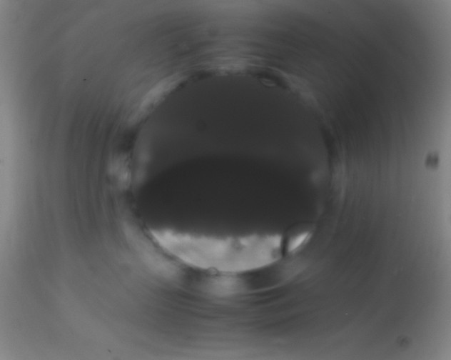 X0000113850383200910151218