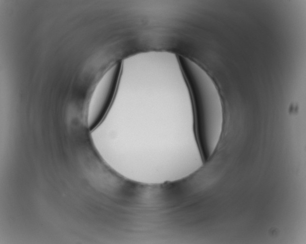 X0000113850384200910151218