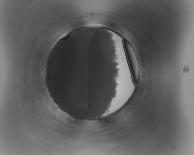 X0000113850385200910151217