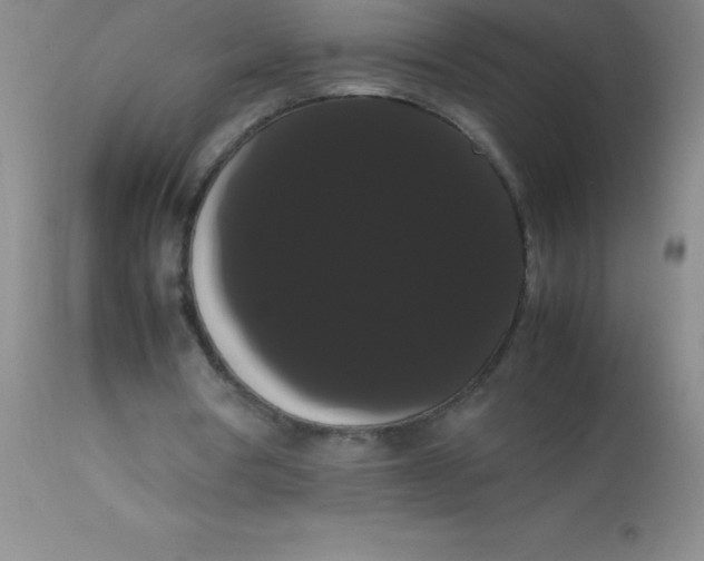 X0000113850386200910151217