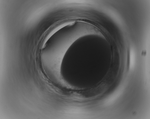 X0000113850387200910151217