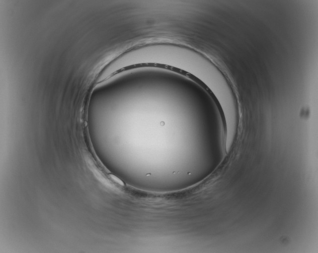 X0000113850389200910151217