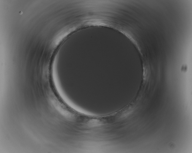 X0000113850390200910151217