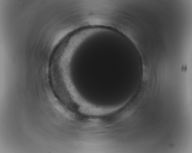 X0000113850391200910151217