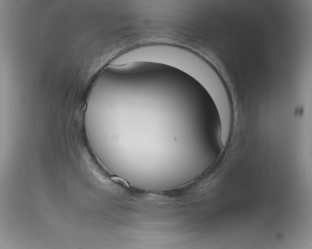 X0000113850393200910151217