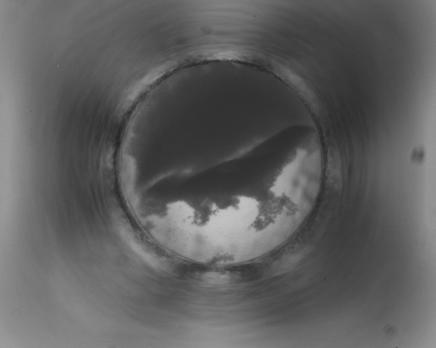 X0000113850394200910151217