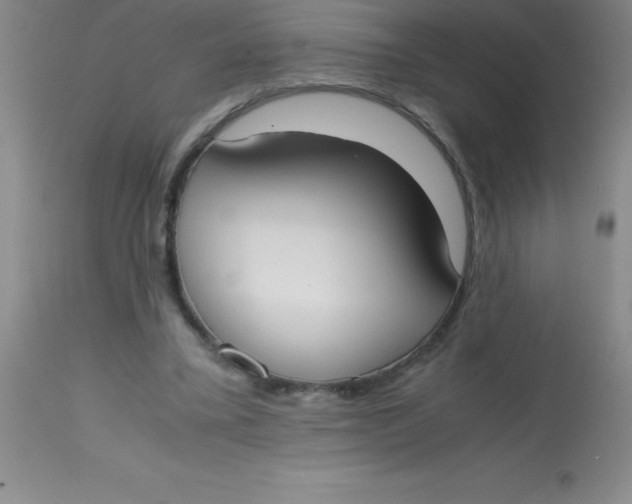 X0000113850395200910151217