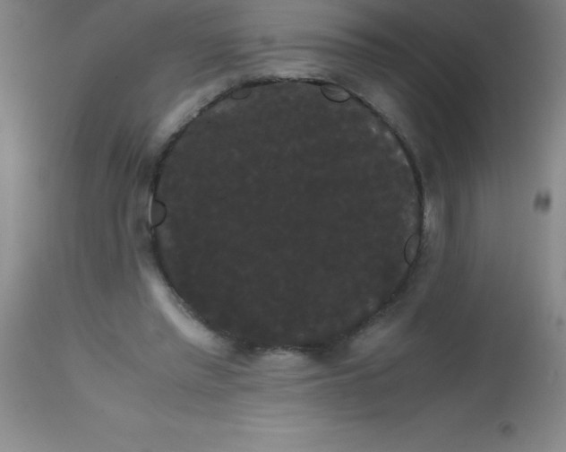 X0000113850397200910151217