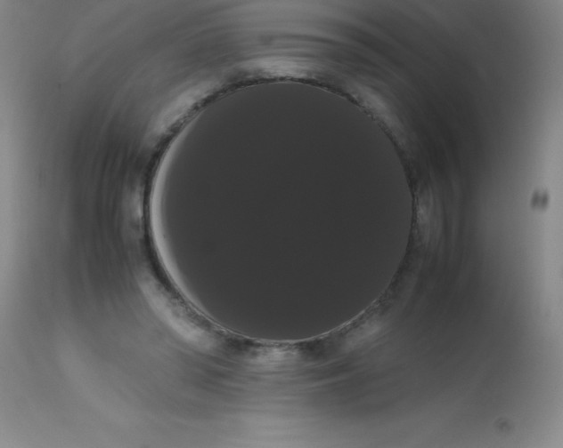 X0000113850398200910151217