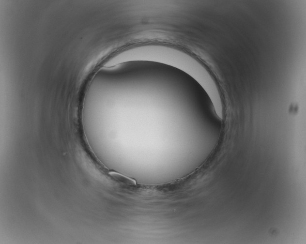 X0000113850399200910151217