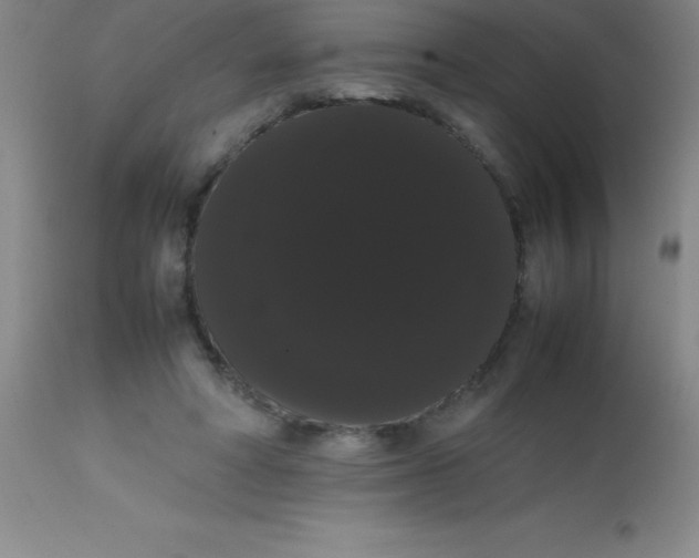 X0000113850402200910151217