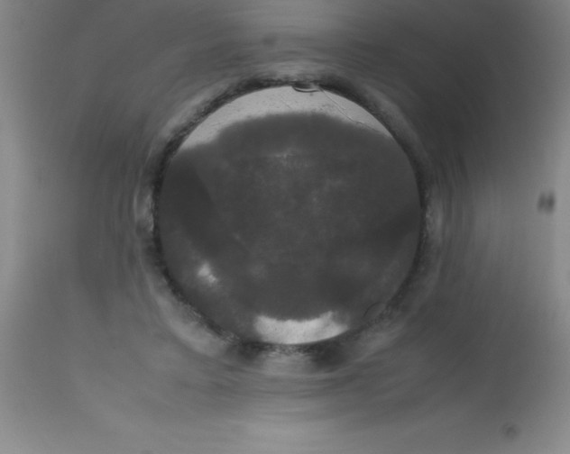 X0000113850403200910151217