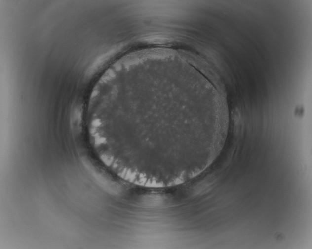 X0000113850404200910151217