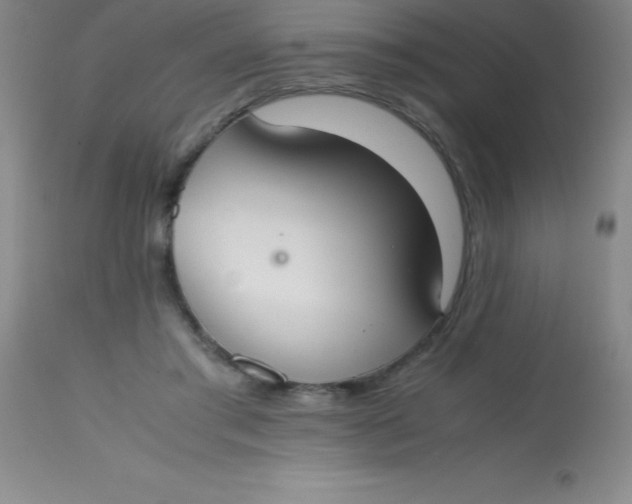 X0000113850405200910151217