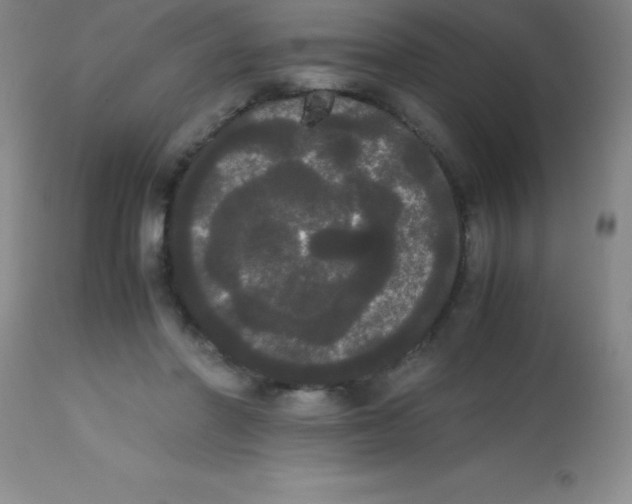 X0000113850406200910151217