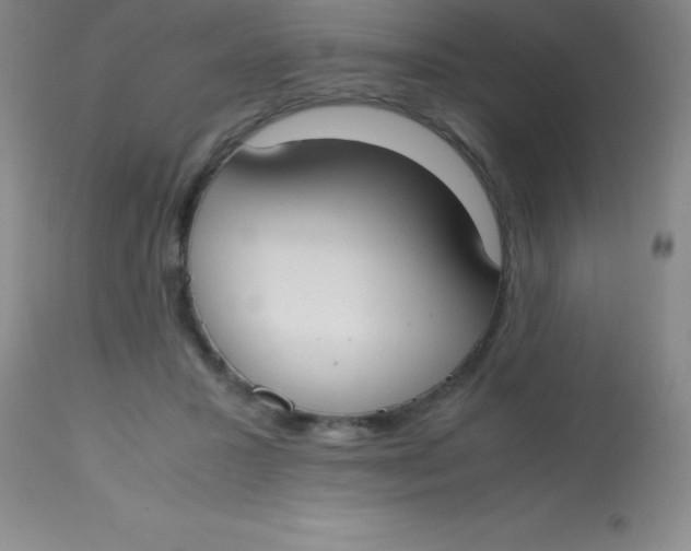 X0000113850407200910151217