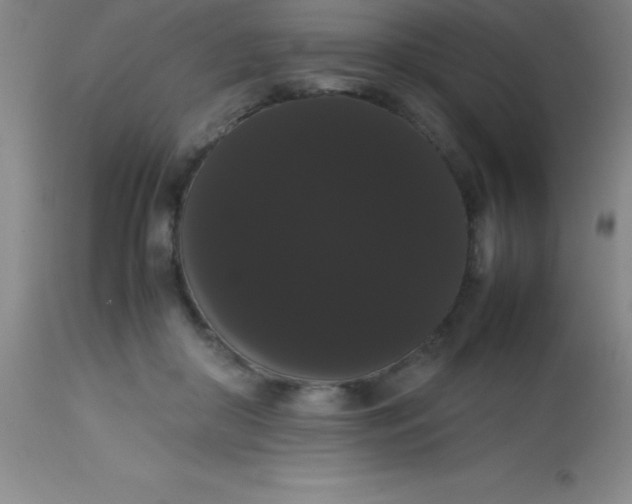 X0000113850410200910151217